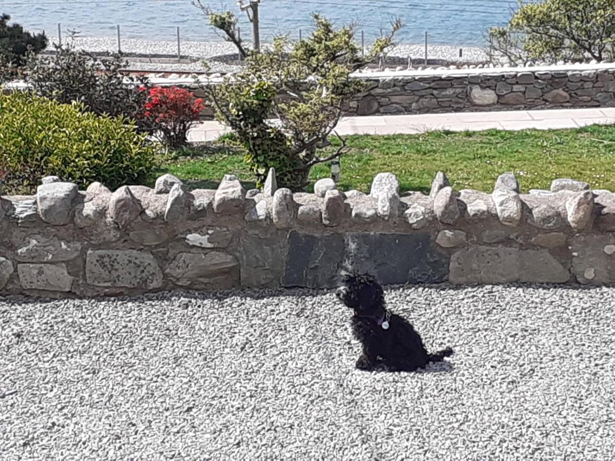 Talarfor Barmouth Villa Luaran gambar